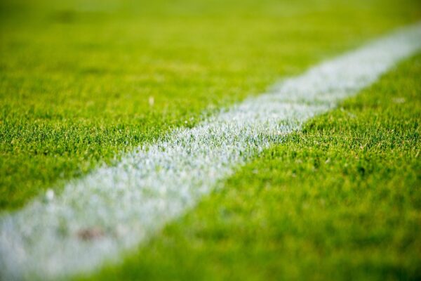 Line across grassy field