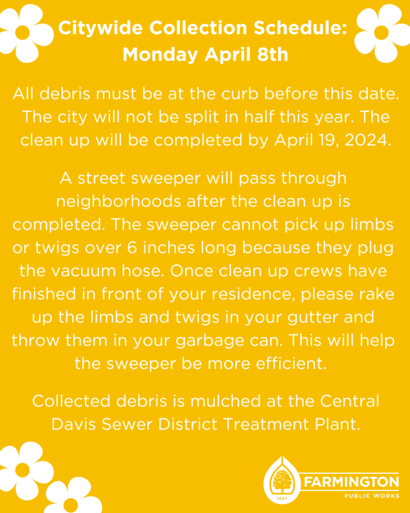 Clean Up Collection Schedule
