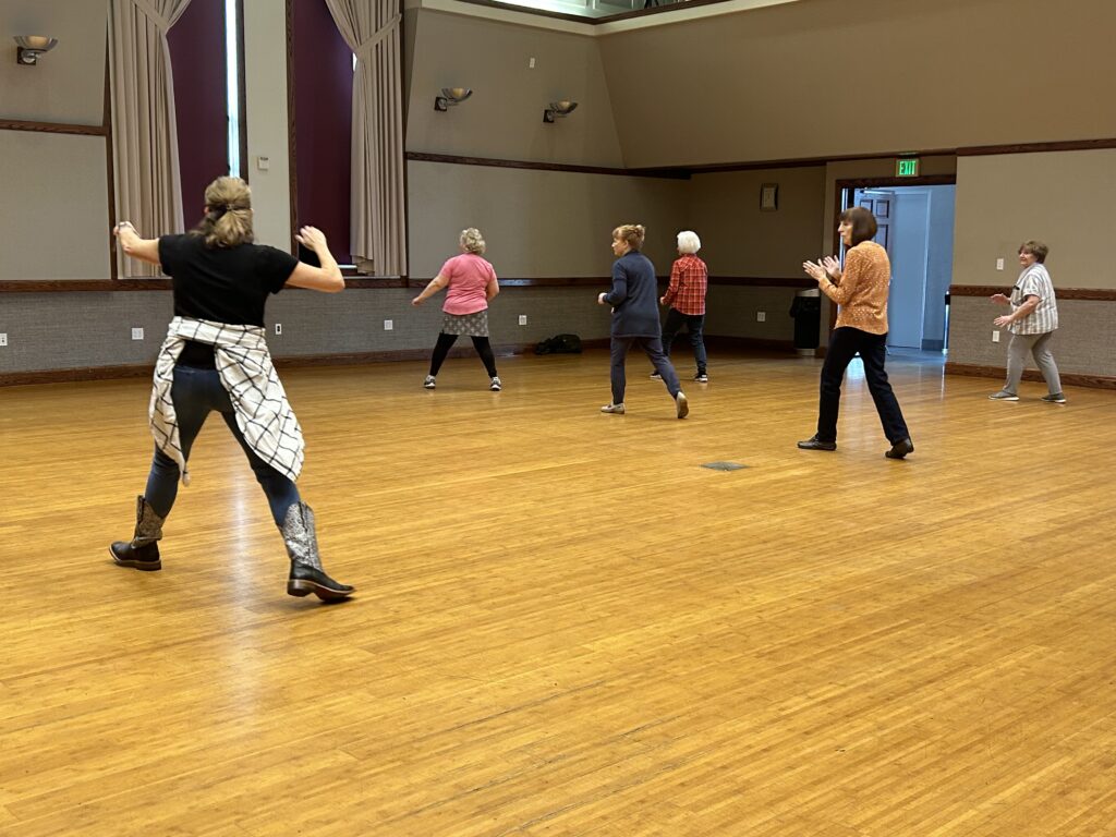 Line dancing participants follow the instructor.