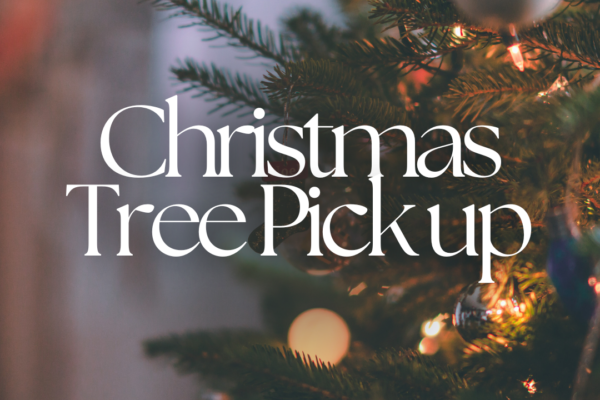 Decorated and lit Christmas tree with the words "Christmas Tree pick up" in white