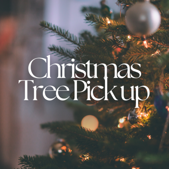 Decorated and lit Christmas tree with the words "Christmas Tree pick up" in white