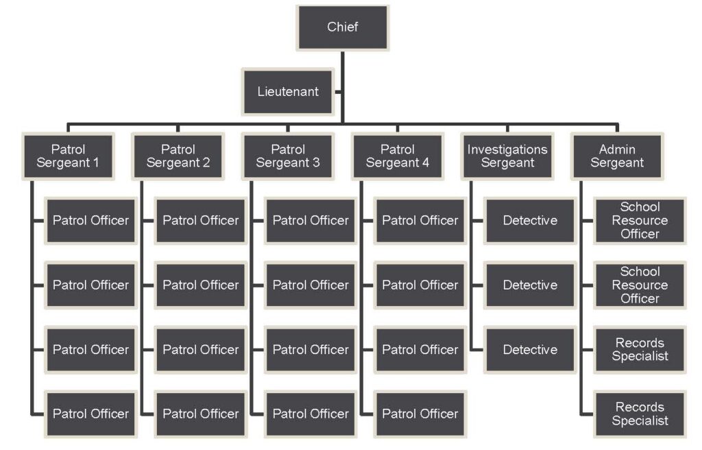 Farmington Police Org Chart