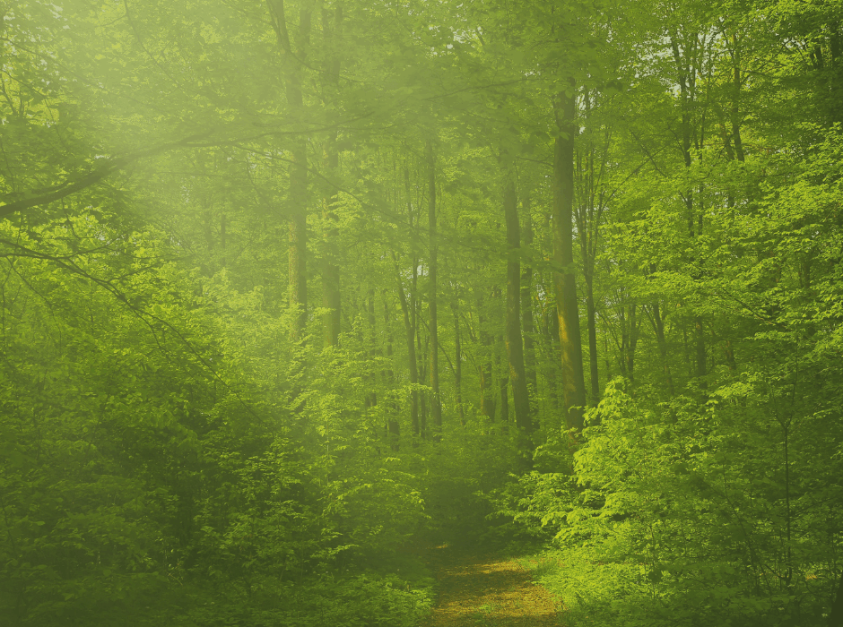 HB 48 Wildland Urban Interface Modifications