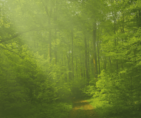 HB 48 Wildland Urban Interface Modifications