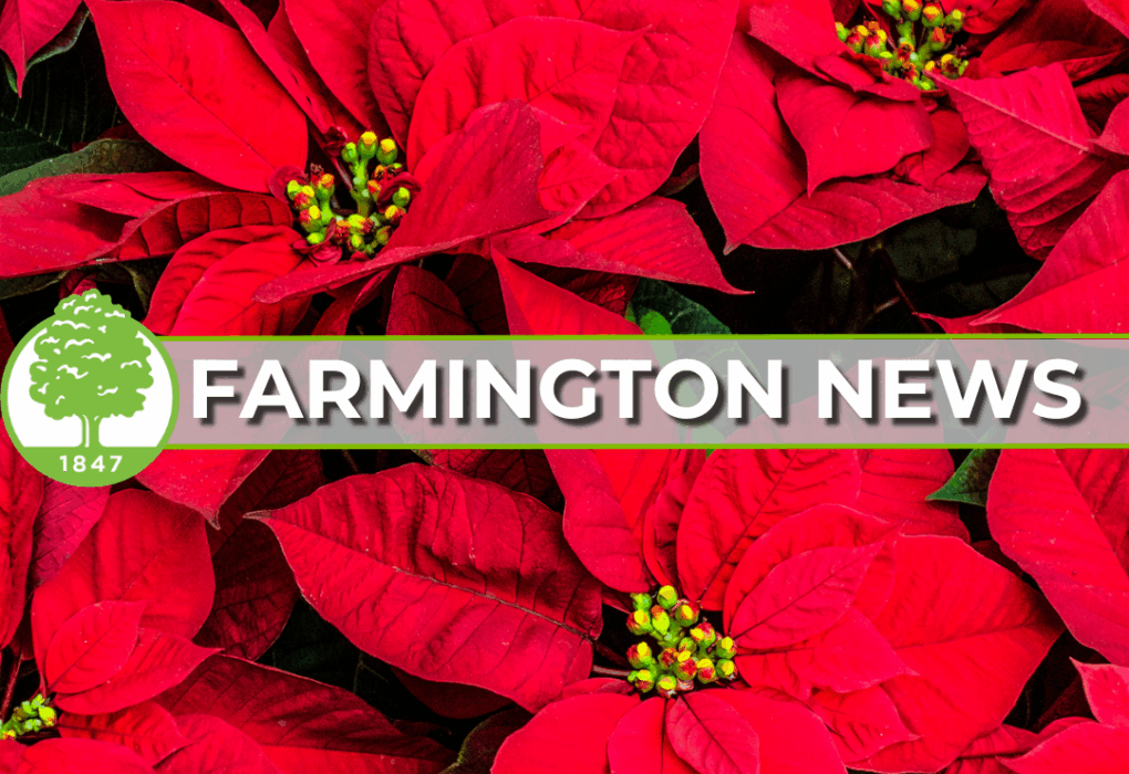 Farmington December Newsletter
