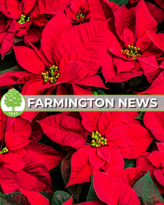 Farmington December Newsletter